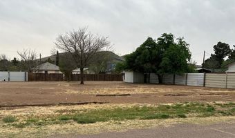 1506 N 6th St, Alpine, TX 79830
