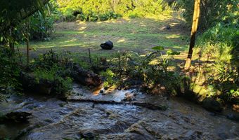 53-364 KAPANAIA Rd A, Kapaau, HI 96755