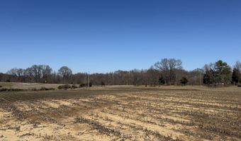 2966 N U.S. 412, Alamo, TN 38001