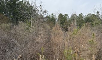 Tuten Road, Aurora, NC 27806