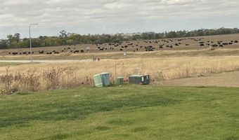 1010 Bluejay Cir, Ashland, NE 68003