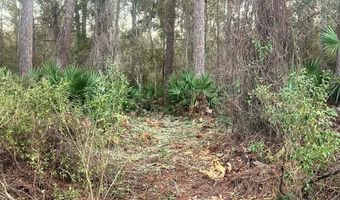 34 Gibson Rd, Apalachicola, FL 32320