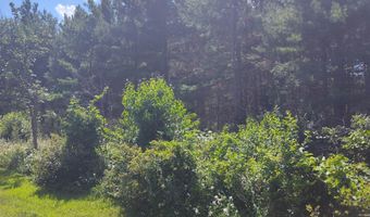 Lot 113 Beaver Lane, Arkdale, WI 54613