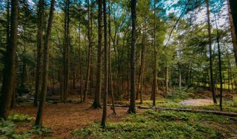 0 Weidick Rd, Andes, NY 13731