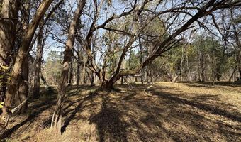 Parcel A DULWICH DR, Amherst, VA 24521