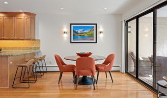 980 E Hyman Ave 3, Aspen, CO 81611