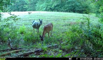 235 Woodrow Martin Rd, Brandon, MS 39042