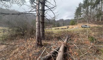 99999 White Pine Ln, Bakersville, NC 28705