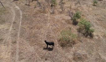 Tbd tbd, Albany, TX 76430