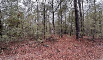 Ethridge Drive, Andrews, SC 29510