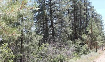 140 Jackalope Dr, Bayfield, CO 81122