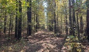 Perry Chapel Road, Ashland, MS 38603