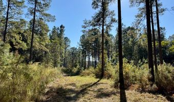 TBD Binnicker Bridge Road, Bamberg, SC 29003