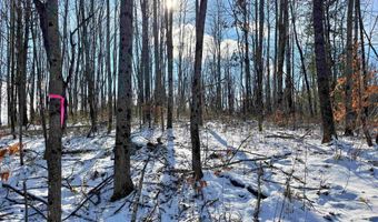 001 Duck Pond Rd Lot #1, Barton, VT 05822