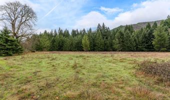 Upper Cow Creek Road, Azalea, OR 97410