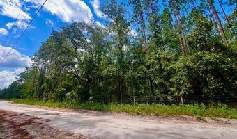 65 Th St, Bell, FL 32619