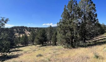 639 Pheasant Dr, Alturas, CA 96101