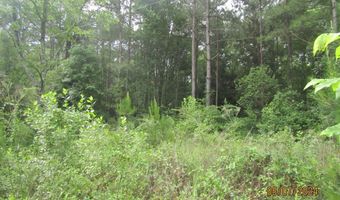 7275 Beulah Ln, Baconton, GA 31716