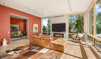 103 Willits Way 201, Basalt, CO 81621