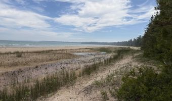 9201 Wreck Rd, Alpena, MI 49707