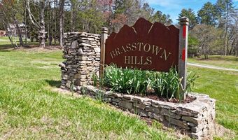 284 Brasstown Hills Rd, Brasstown, NC 28902