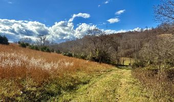 1520 Brittontown Rd, Afton, TN 37616