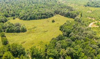 00 Tucker Rd, Bath Springs, TN 38311