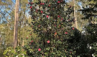 24415 NW 90TH Pl, Alachua, FL 32615