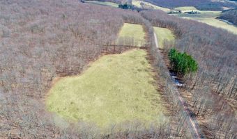 Lot 2 Doig Hollow Road, Andes, NY 13731