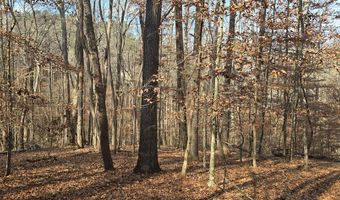 00001 Hwy 369, Ball Ground, GA 30107