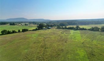 13621 E Old Belleville Rd, Belleville, AR 72824