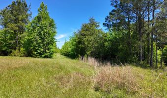 County Road 38, Autaugaville, AL 36003