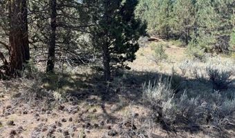 00 Ranch Rd. Rd, Alturas, CA 96101