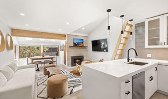 910 W Hallam St 9, Aspen, CO 81611