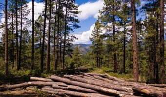 TBD Lot 11 Beaver Creek Ranch Drive, Bayfield, CO 81122