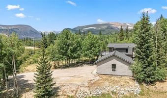 133 GOLD RUN Rd, Alma, CO 80440