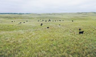 755 90 +/- Acres, Arnold, NE 69120