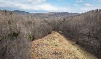 760 County Road 203, Annapolis, MO 63620