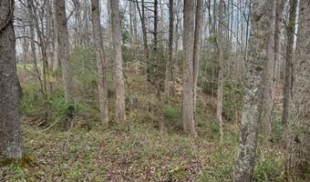 Honey Creek Loop Rd, Allardt, TN 38504