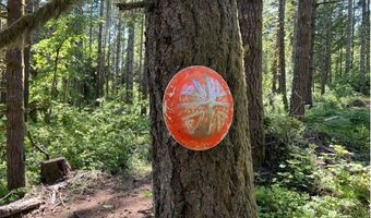 Tunnel Tract Parcel2, Banks, OR 97106