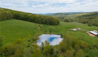 2400 Gladstone Hollow Rd, Andes, NY 13731