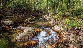 10 Dodd Rd, Barnardsville, NC 28709