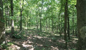 3751 CR 1313 County Road 1313 Crane Lake Rd, Arcadia, MO 63621