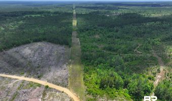 Sardis Church Road, Atmore, AL 36502