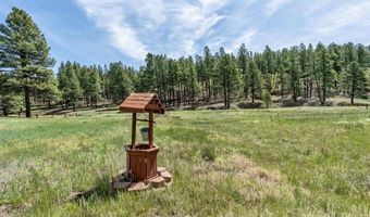 699 Beaver Creek Dr, Bayfield, CO 81122