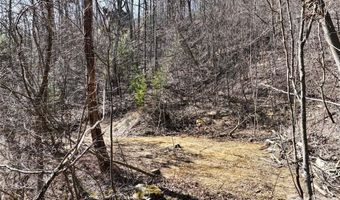 99999 Green Ridge Falls Rd 17, Barnardsville, NC 28709