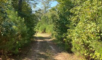 0 Nick Creek Rd, Bernice, LA 71222