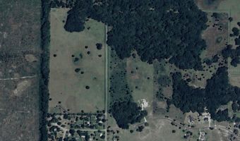 8506 SW 135TH Ln, Archer, FL 32618