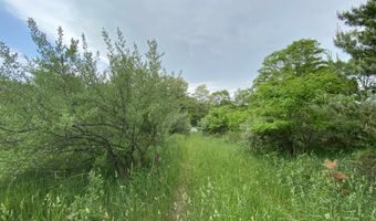 Parcel A Cemetery Road, Alden, MI 49612
