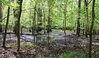 Ruffner Road 00, Barnesville, GA 30204